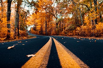 A road in Vermont during fall